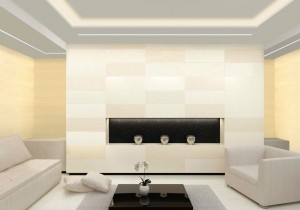 Fisher Lighting and Controls Reveal Wall Wash Pure Lighting