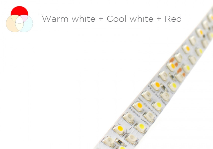 Acolyte LED Ribbonlyte (Variable White Red)
