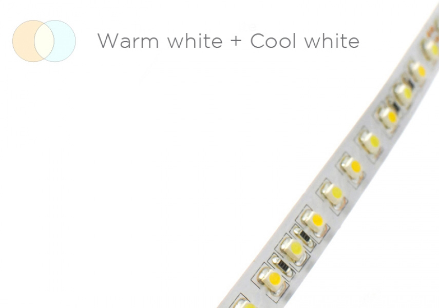 Acolyte LED Ribbonlyte (Variable White)