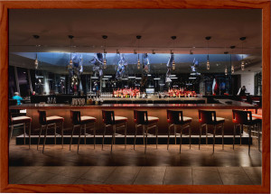 Fisher Lighting and Controls Art Hotel Denver Colorado Rep Representative Fire Bar Restaurant Hospitality LEI Corporex Davis Architecture